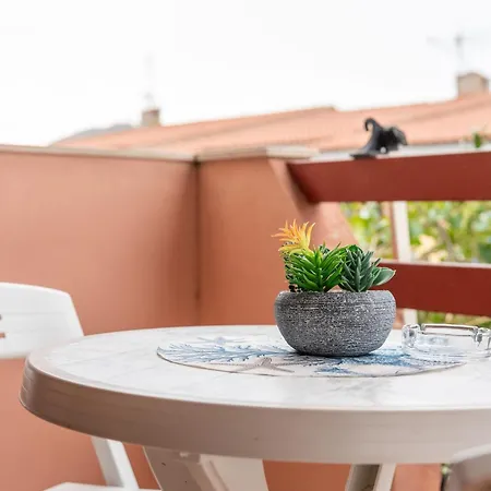 Domus Nostra * 维拉西米乌斯