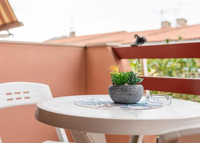 Domus Nostra * 维拉西米乌斯